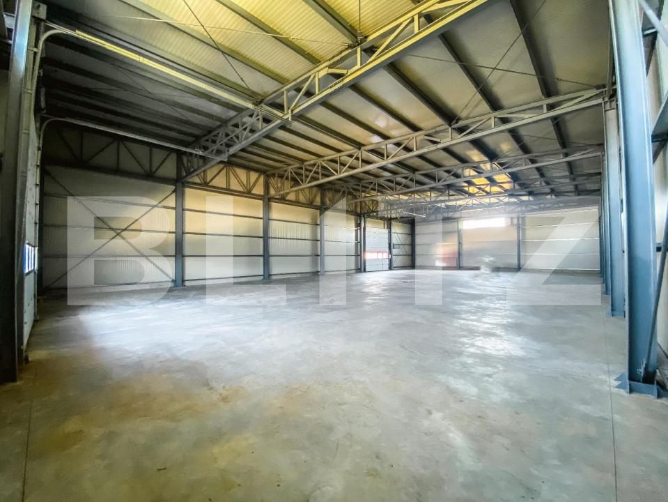 Spațiu industrial de închiriat Aeroport - 147082SII | BLITZ Craiova | Poza10