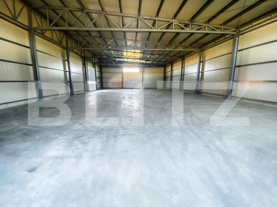 Spațiu industrial de închiriat Aeroport - 147082SII | BLITZ Craiova | Poza8