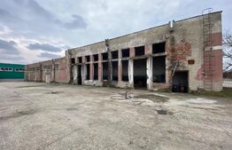Hala industrială, 1250 mp, acces E79, zona Isalnita