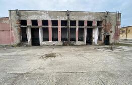 Hala industrială, 1250 mp, acces E79, zona Isalnita
