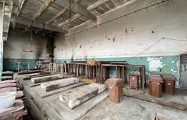 Hala industrială, 1250 mp, acces E79, zona Isalnita