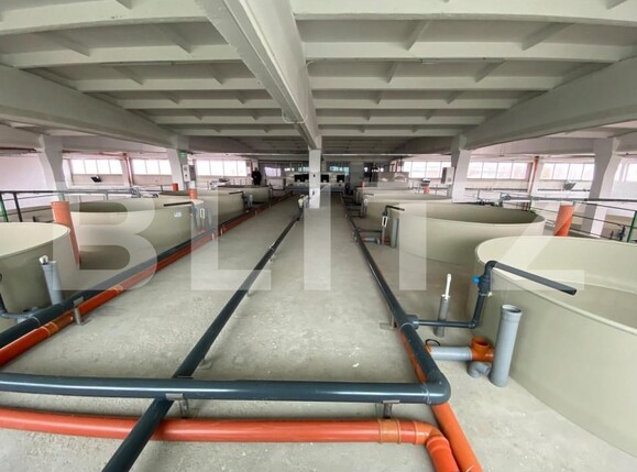 Spațiu industrial de închiriat Exterior Vest - 147084SII | BLITZ Craiova | Poza6