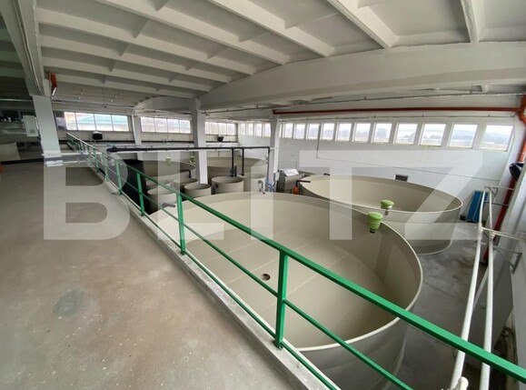 Spațiu industrial de închiriat Exterior Vest - 147084SII | BLITZ Craiova | Poza5