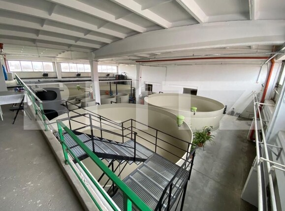 Spațiu industrial de închiriat Exterior Vest - 147084SII | BLITZ Craiova | Poza2