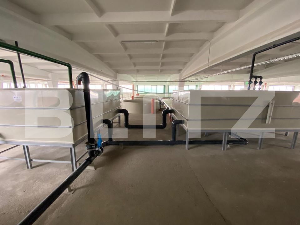 Spațiu industrial de închiriat Exterior Vest - 147084SII | BLITZ Craiova | Poza4
