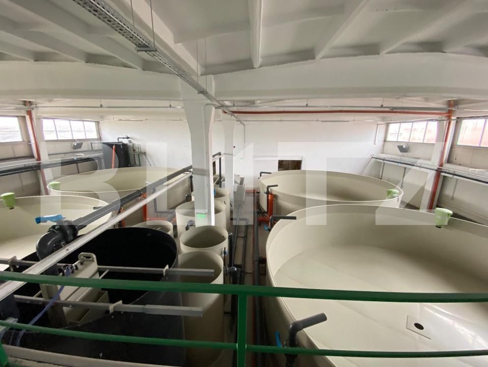 Spațiu industrial de închiriat Exterior Vest - 147084SII | BLITZ Craiova | Poza3