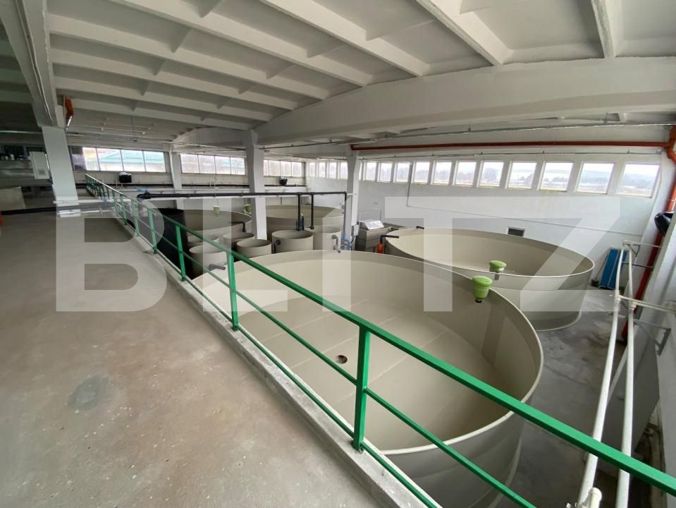 Spațiu industrial de închiriat Exterior Vest - 147084SII | BLITZ Craiova | Poza5