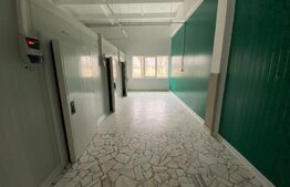Cladire cu destinație mixta, 570 mp, acces E79, zona Isalnita