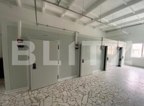 Spațiu industrial de închiriat Exterior Vest - 147085SII | BLITZ Craiova | Poza5