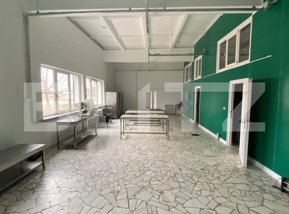 Spațiu industrial de închiriat Exterior Vest - 147085SII | BLITZ Craiova | Poza2