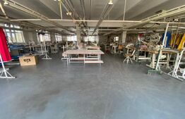 Clădire cu destinație mixta, 1405 mp suprafață utila, zona Lăpuș