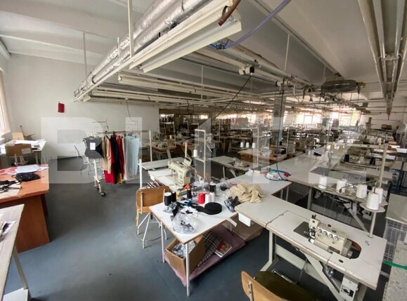 Spațiu comercial de închiriat Lapus Arges - 147086SIC | BLITZ Craiova | Poza3