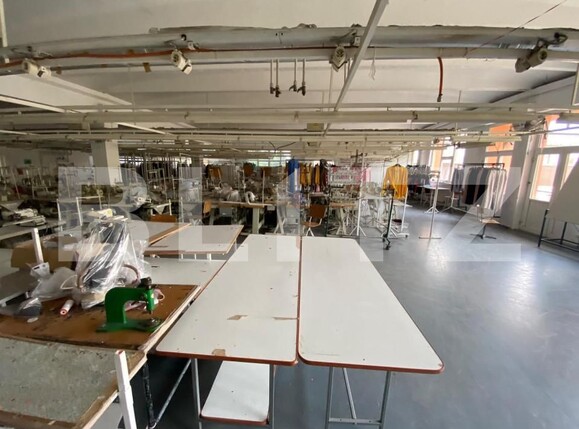 Spațiu comercial de închiriat Lapus Arges - 147086SIC | BLITZ Craiova | Poza5