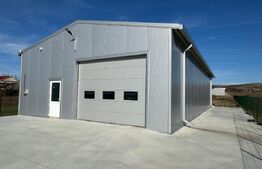 Hală 194 mp utili, platformă betonată 400 mp și teren total de 1.500 mp, Răcari