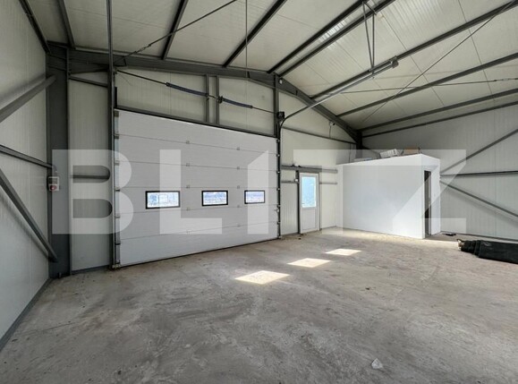 Spațiu industrial de vânzare Exterior Vest - 147092SVI | BLITZ Craiova | Poza8
