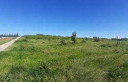 Teren intravilan 31.000 mp, zona Hanul Doctorului 