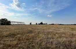 Teren intravilan 15.039 mp, Ghercești, zona Aeroport