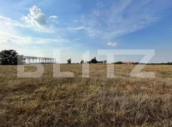 Teren de vânzare Ghercesti - 147215TV | BLITZ Craiova | Poza4