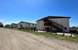 OPORTUNITATE! Teren intravilan 4,5 ha, cu 8 hale de peste 16.000 mp cu panouri fotovoltaice, Brădești