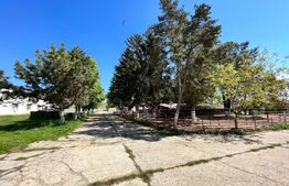 OPORTUNITATE! Teren intravilan 4,5 ha, cu 8 hale de peste 16.000 mp cu panouri fotovoltaice, Brădești