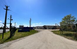 OPORTUNITATE! Teren intravilan 4,5 ha, cu 8 hale de peste 16.000 mp cu panouri fotovoltaice, Brădești