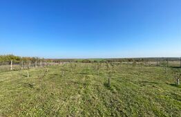 Teren intravilan 7788 mp, Mischii, sat Gogosesti