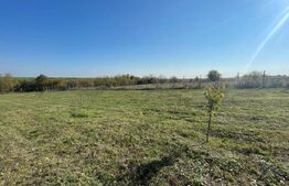 Teren intravilan 7788 mp, Mischii, sat Gogosesti