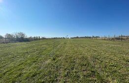 Teren intravilan 7788 mp, Mischii, sat Gogosesti