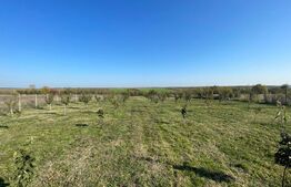 Teren intravilan 7788 mp, Mischii, sat Gogosesti