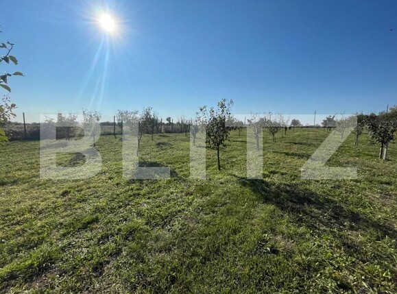 Teren de vânzare Nord-Est - 147341TV | BLITZ Craiova | Poza5