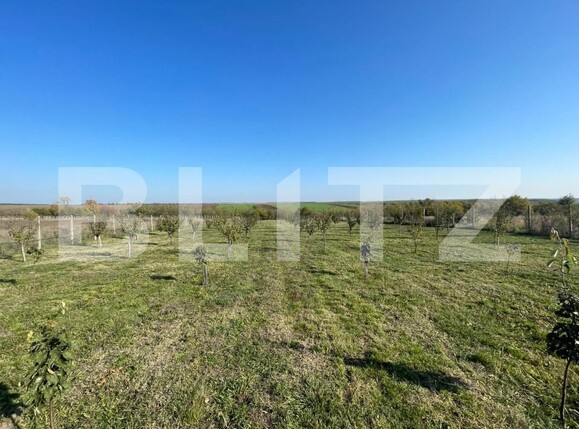 Teren de vânzare Nord-Est - 147341TV | BLITZ Craiova | Poza1