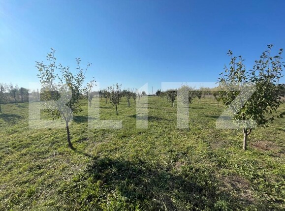 Teren de vânzare Nord-Est - 147341TV | BLITZ Craiova | Poza6