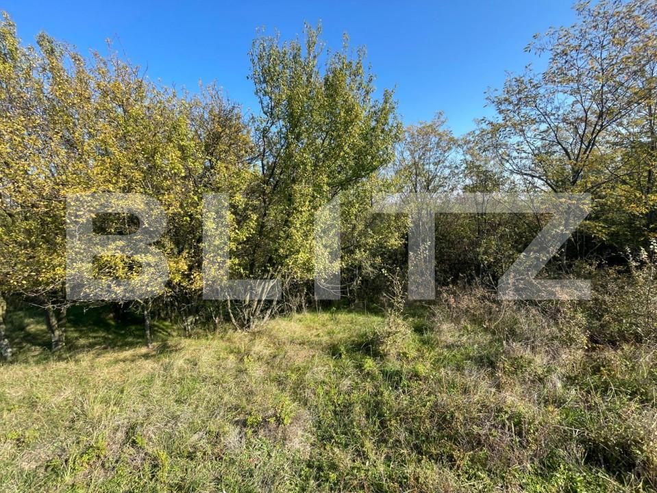 Teren de vânzare Nord-Est - 147341TV | BLITZ Craiova | Poza9