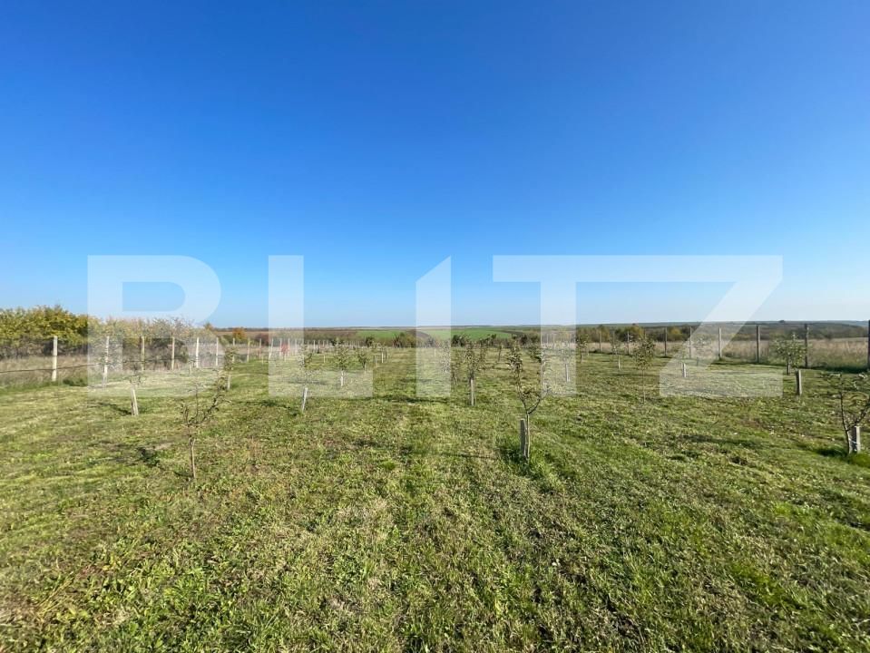 Teren de vânzare Nord-Est - 147341TV | BLITZ Craiova | Poza7