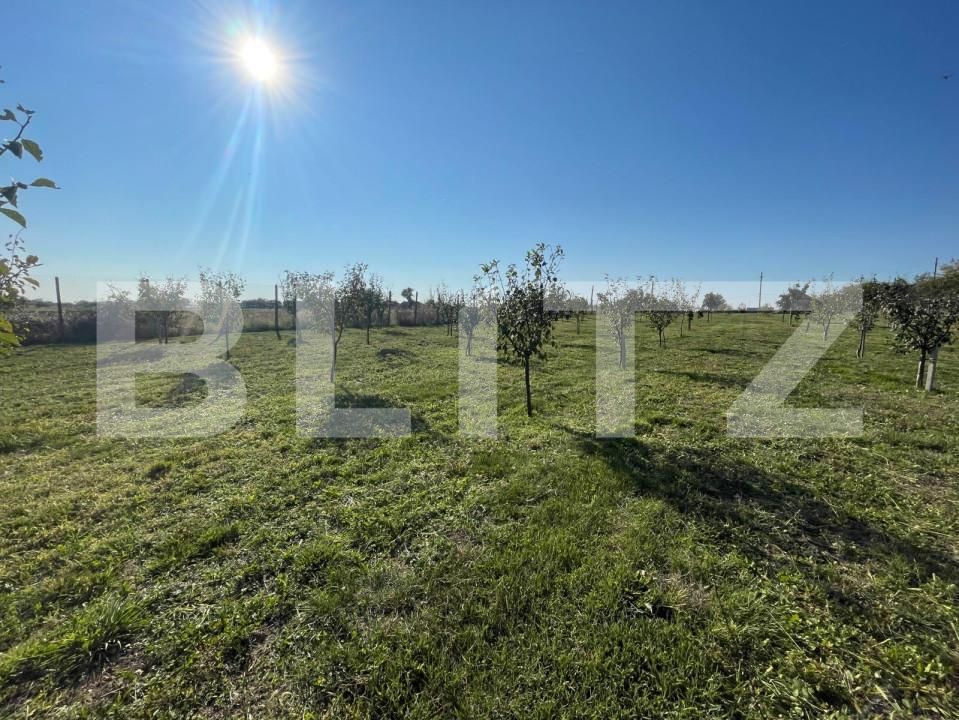 Teren de vânzare Nord-Est - 147341TV | BLITZ Craiova | Poza5