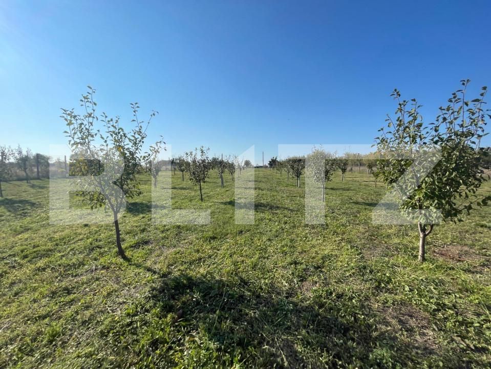 Teren de vânzare Nord-Est - 147341TV | BLITZ Craiova | Poza6