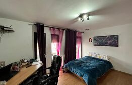 Casă S + P + M de 166 mp utili, 600 mp teren, Bariera Vâlcii