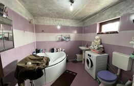 Casă S + P + M de 166 mp utili, 600 mp teren, Bariera Vâlcii