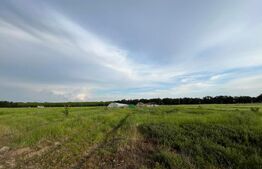 Teren parțial intravilan 23.500 mp, apă, curent și supraveghere video, Bucovăț