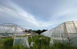 Teren parțial intravilan 23.500 mp, apă, curent și supraveghere video, Bucovăț