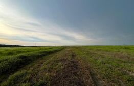 Teren parțial intravilan 23.500 mp, apă, curent și supraveghere video, Bucovăț