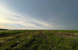 Teren parțial intravilan 23.500 mp, apă, curent și supraveghere video, Bucovăț