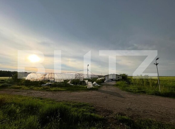 Teren de vânzare Bucovat - 147387TV | BLITZ Craiova | Poza1