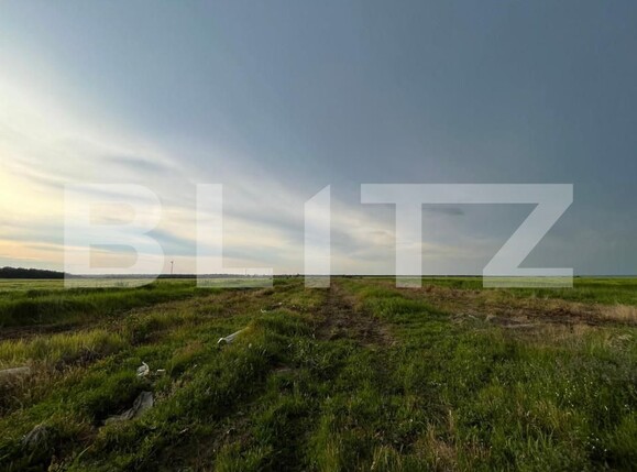 Teren de vânzare Bucovat - 147387TV | BLITZ Craiova | Poza5