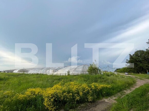 Teren de vânzare Bucovat - 147387TV | BLITZ Craiova | Poza10