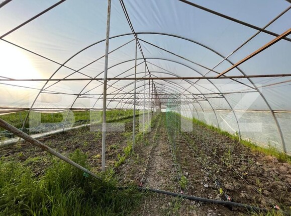 Teren de vânzare Bucovat - 147387TV | BLITZ Craiova | Poza10