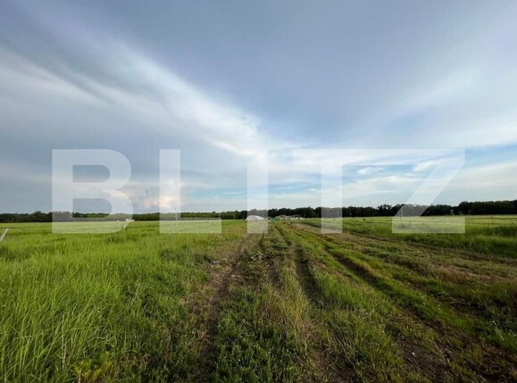 Teren de vânzare Bucovat - 147387TV | BLITZ Craiova | Poza6