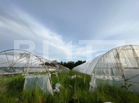 Teren de vânzare Bucovat - 147387TV | BLITZ Craiova | Poza9