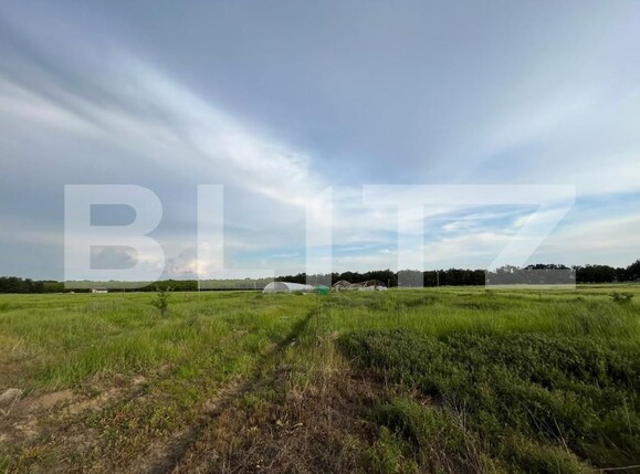 Teren de vânzare Bucovat - 147387TV | BLITZ Craiova | Poza6