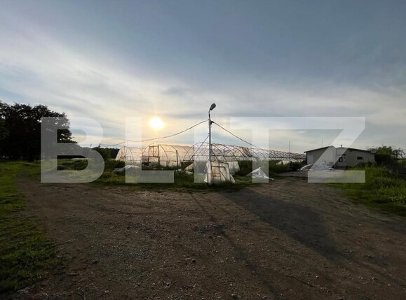 Teren de vânzare Bucovat - 147387TV | BLITZ Craiova | Poza11